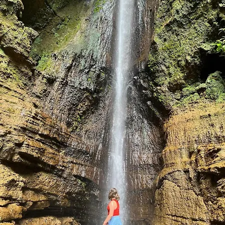 Casa Mamã E Papá Сasa de vacaciones Mosteiros (Azores)